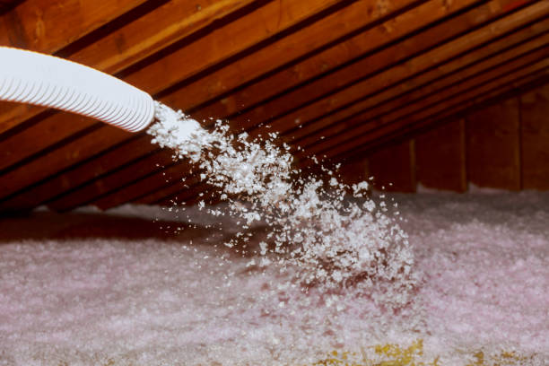 Best Insulation Maintenance and Repair in Danvle, IL