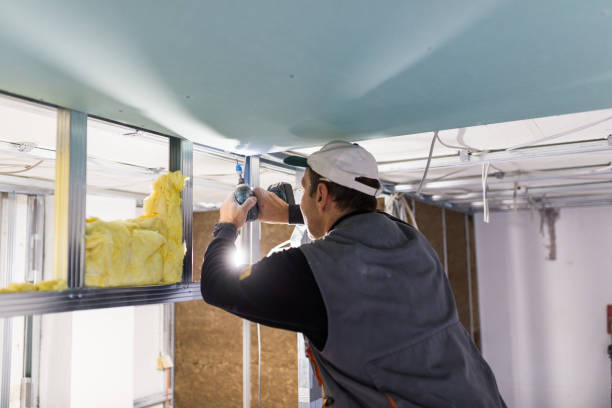 Best Insulation Materials and Products in Danvle, IL